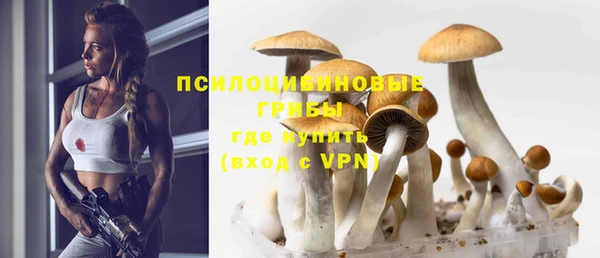 Альфа ПВП Магадан