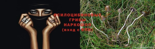 герыч Майский