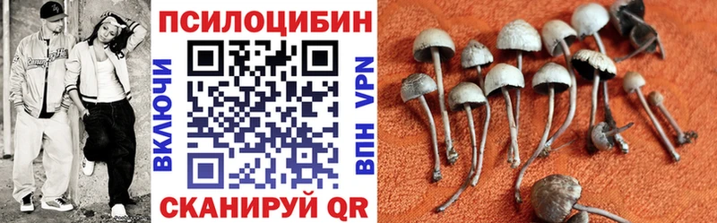 Галлюциногенные грибы прущие грибы  Новокузнецк 